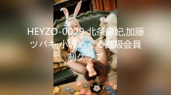 HEYZO-0029 北条麻妃,加藤ツバキ,小坂めぐる高級会員制クラブ