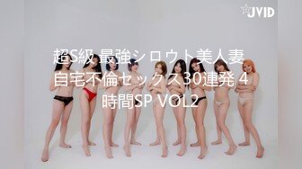 超S級 最強シロウト美人妻 自宅不倫セックス30連発 4時間SP VOL2