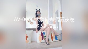 AV-0060 大象传媒 周五夜晚的多人乱交趴