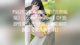 P站20万粉华裔网黄「北京瑶瑶」「Lonelymeow」OF旅游性爱日记 3P百合爆菊潮吹露出【第六弹】 (1)