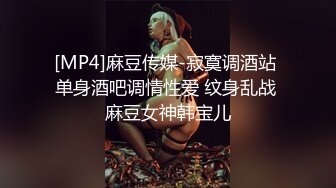 [MP4]麻豆传媒-寂寞调酒站 单身酒吧调情性爱 纹身乱战 麻豆女神韩宝儿