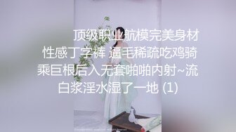 ❤️❤️顶级职业航模完美身材 性感丁字裤 逼毛稀疏吃鸡骑乘巨根后入无套啪啪内射~流白浆淫水湿了一地 (1)