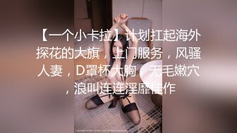 【一个小卡拉】计划扛起海外探花的大旗，上门服务，风骚人妻，D罩杯大胸，无毛嫩穴，浪叫连连淫靡佳作