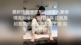 退圈女神归来！王动御用招牌女神模特【甲乙丙我姓丁】最新解锁推特自拍大胆露出全套