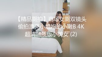 【精品厕拍】商场女厕双镜头偷拍漂亮小姐姐的小嫩B 4K超清画质版小美女 (2)